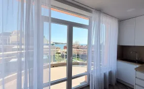 oasis