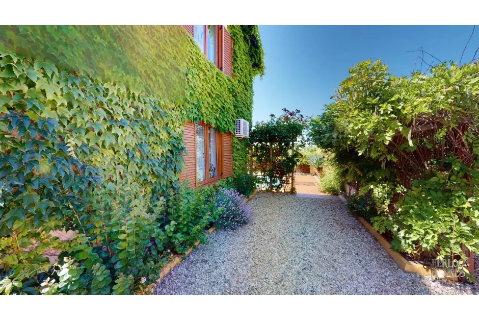 kosharitza