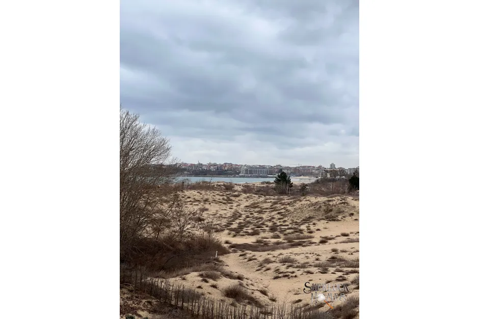 dune