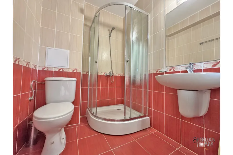 nikola