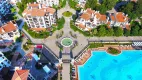oasis