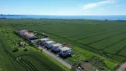 lahana