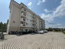 magnolia6