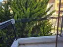 garden-of-eden