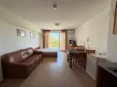grand-kamelia