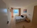 koral