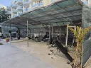 oasis