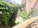 golden-day